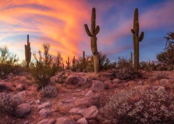 Nothing in Nature Matches Perfectly