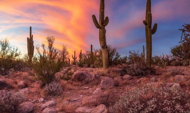 Nothing in Nature Matches Perfectly