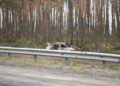 Smart Steps To Take After A Minor Car Accident