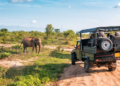 The Ultimate Guide to Planning an Africa Trip