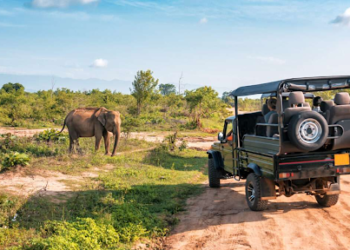 The Ultimate Guide to Planning an Africa Trip