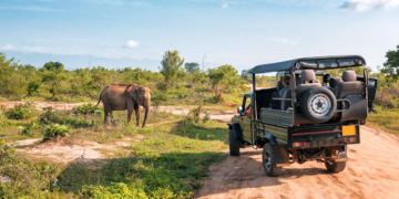 The Ultimate Guide to Planning an Africa Trip