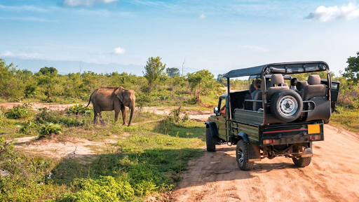 The Ultimate Guide to Planning an Africa Trip