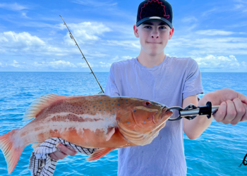 Reef Fishing for Beginners: Everything You Need to Know Before Your First Trip