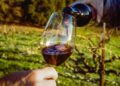 Why High Quality Wine Makes Every Occasion Better