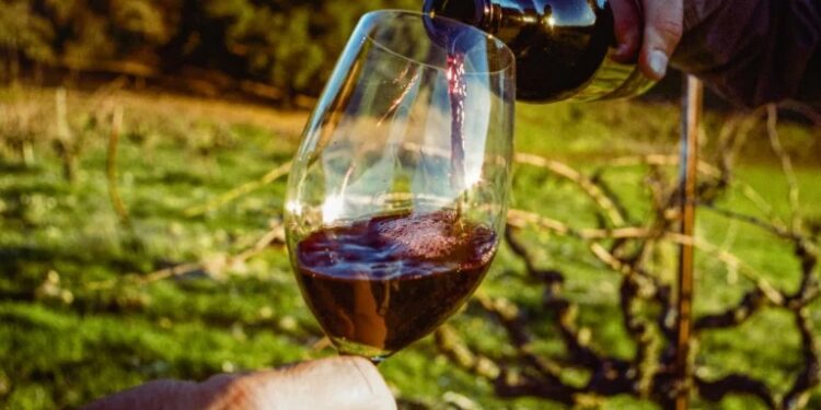 Why High Quality Wine Makes Every Occasion Better