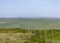 Seven Questions Ryan Zarnowski Recommends You Ask Before You Buy Rural Land