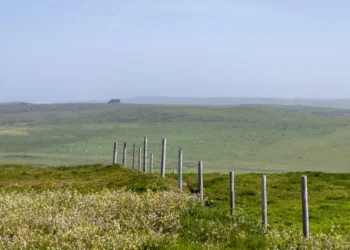 Seven Questions Ryan Zarnowski Recommends You Ask Before You Buy Rural Land