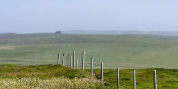 Seven Questions Ryan Zarnowski Recommends You Ask Before You Buy Rural Land
