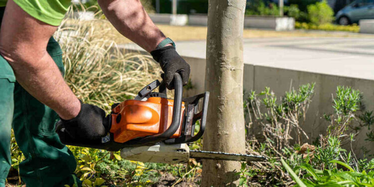 Trufast Tree Service