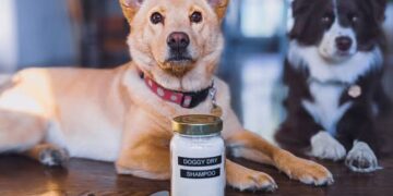 DIY Dog Shampoo: What’s Safe, What’s Not, and When to Buy Instead