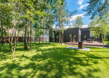 Designing a Yard With Purpose and Personality
