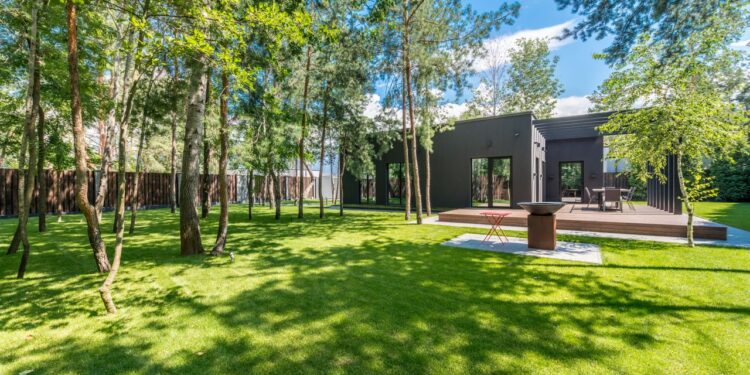 Designing a Yard With Purpose and Personality