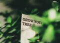 How to Handle Your Business Growing Pains