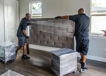 Why Furniture Protection Matters