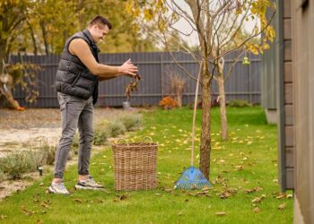 How to Prepare Your Yard for the Summer Season the Right Way