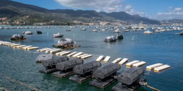The Future of Waterfront Properties: How Modular Floating Docks Add Value and Sustainability
