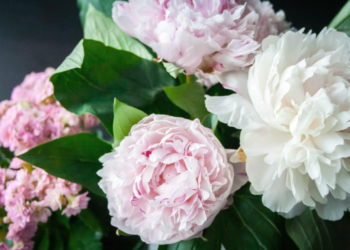 Quick Guide to Choosing Flowers for Gifting
