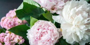 Quick Guide to Choosing Flowers for Gifting