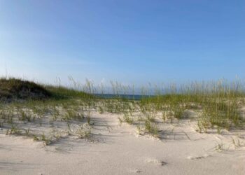 How to Plan a Family-Friendly Alabama Beach Getaway Without Wasting Time or Money