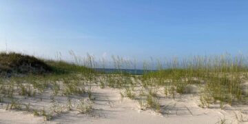 How to Plan a Family-Friendly Alabama Beach Getaway Without Wasting Time or Money