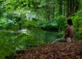 Why Nature-Based Settings Support Healing