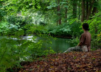 Why Nature-Based Settings Support Healing